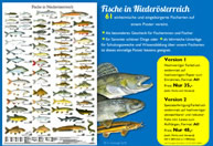 Poster - Fische in Niederösterreich