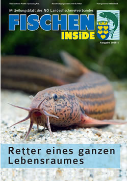 Cover Fischen Inside, Mitteilungsblatt des NÖ Landesfischereiverbandes