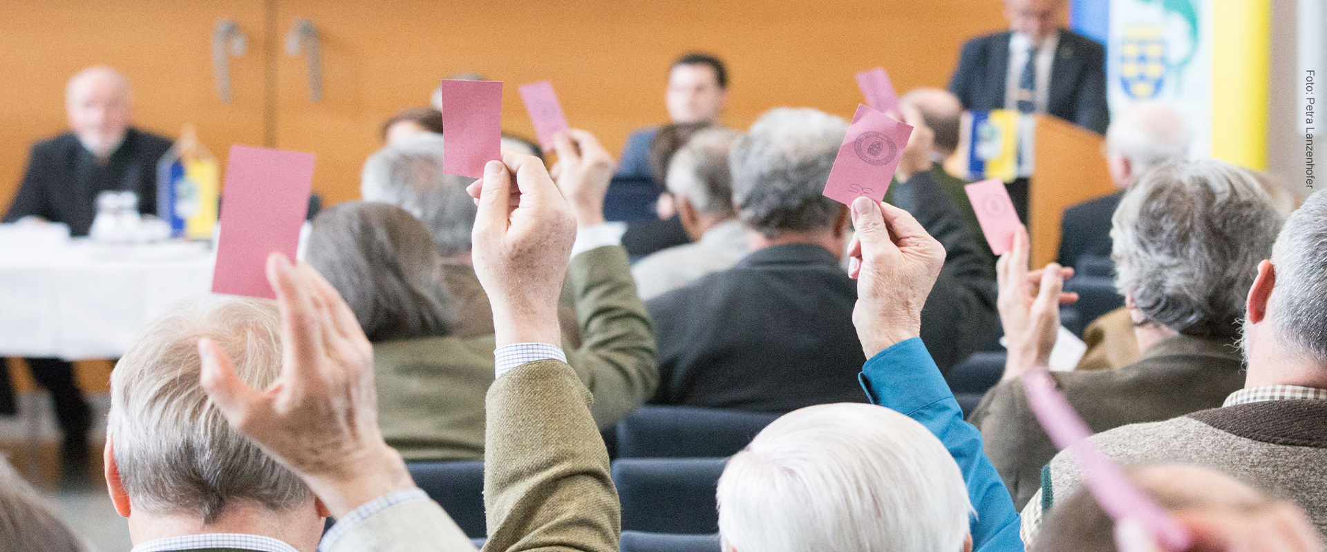 Abstimmung im Zuge der Hauptversammlung des NÖ LFV
