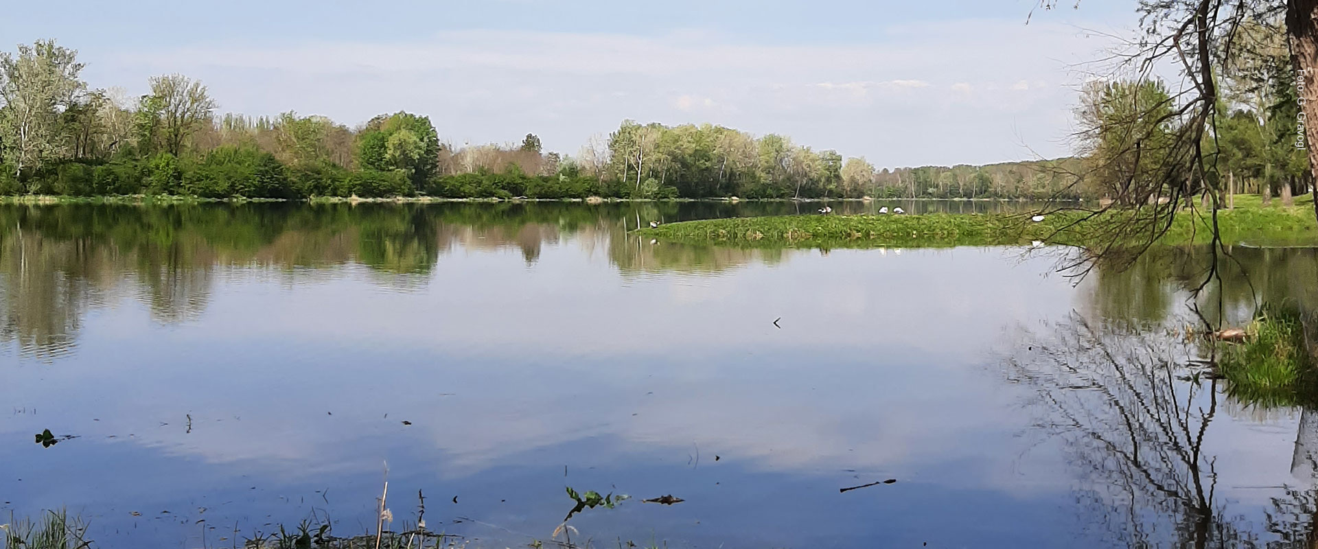 Abschluss LIFE+ Altenwörth Abschluss LIFE+ Altenwörth