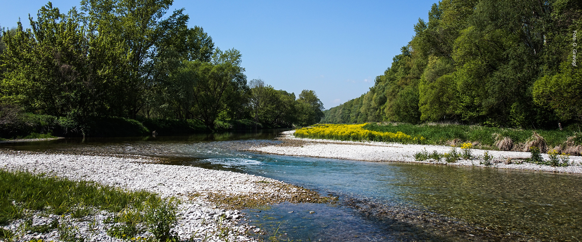 Landschaft